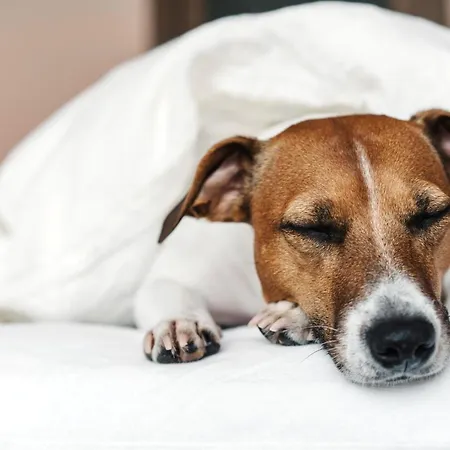 Garner Centre By Ihg