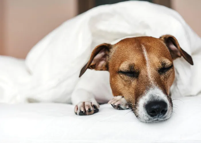 Garner Centre By Ihg